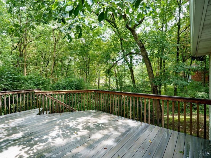 204 Brocdorf Drive, Wyoming, OH 45215 Photo 62