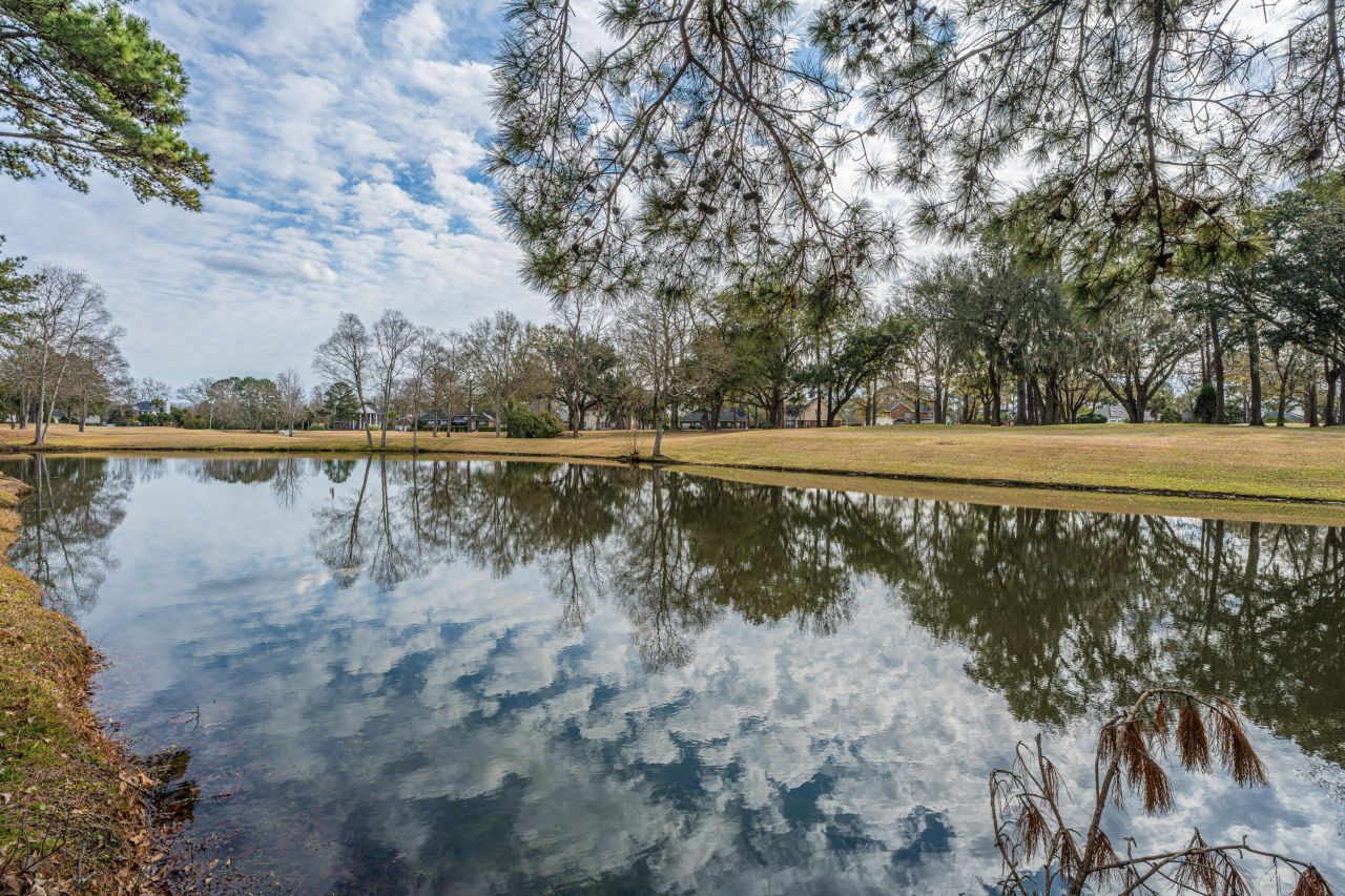 1319 Lark Lane Photo 32