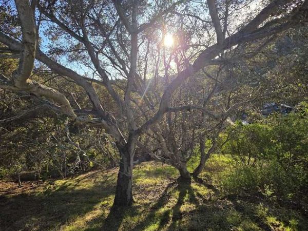 0 0 Longfellow Dr, Belmont, CA 94002