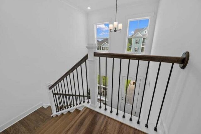119 Archdale Street Photo 32