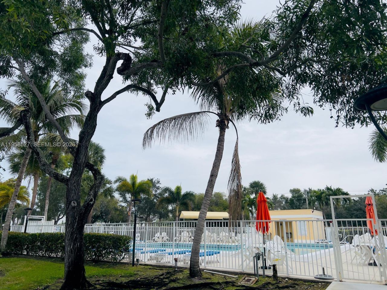 491 Racquet Club Rd, Unit 211, Weston, FL 33326 Photo