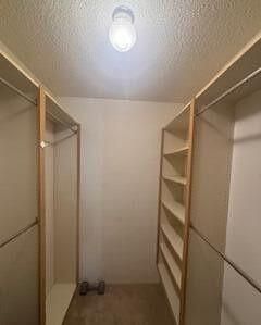 7002 70th Way, West Palm Beach, FL 33407 Photo