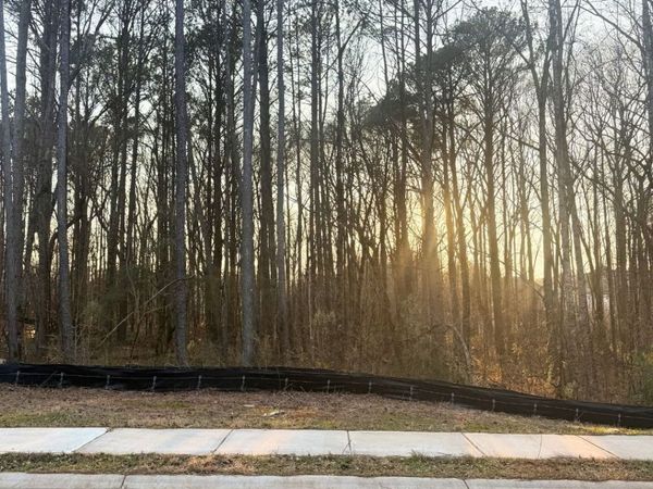 110 Spyglass Circle, Mcdonough, GA 30253