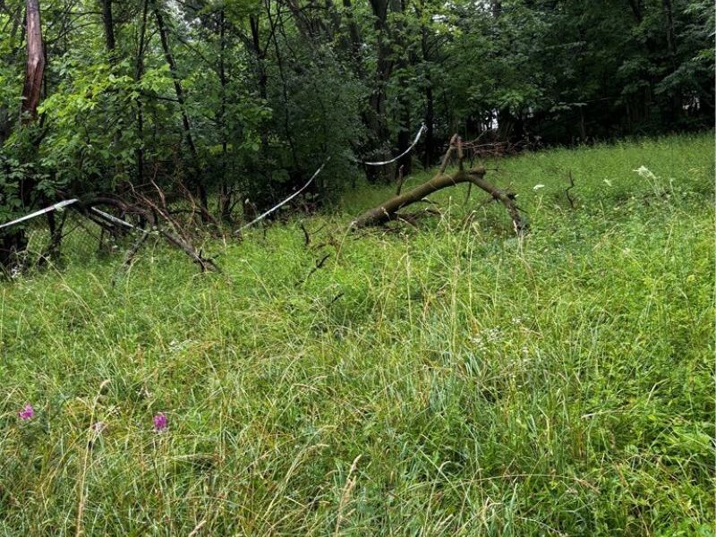 3833 E 144th Street, Cleveland, OH 44128 Photo 18