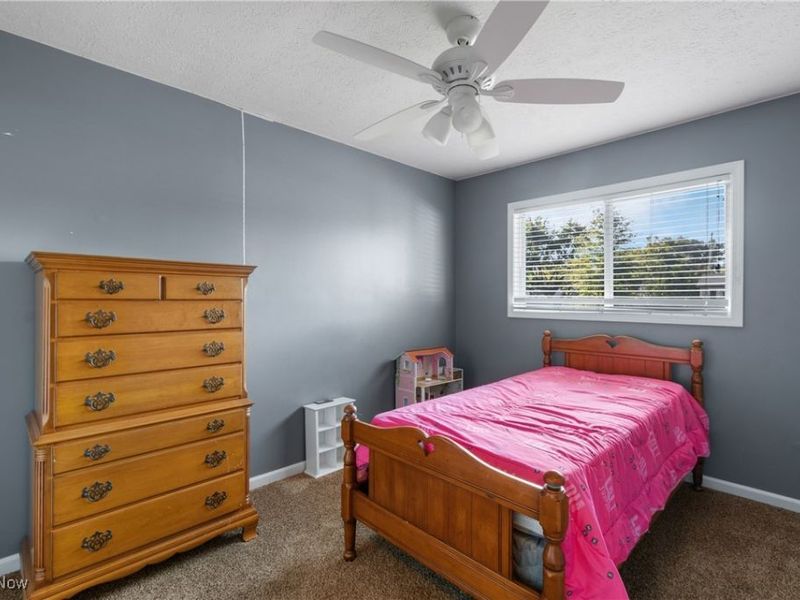 1177 Moneta Avenue, Aurora, OH 44202 Photo 16