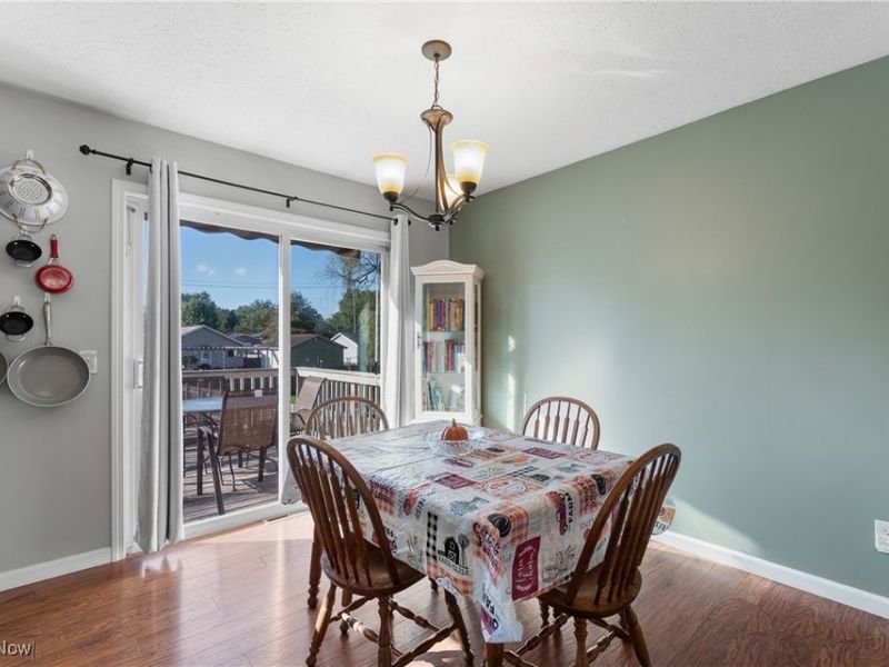 1177 Moneta Avenue, Aurora, OH 44202 Photo 8