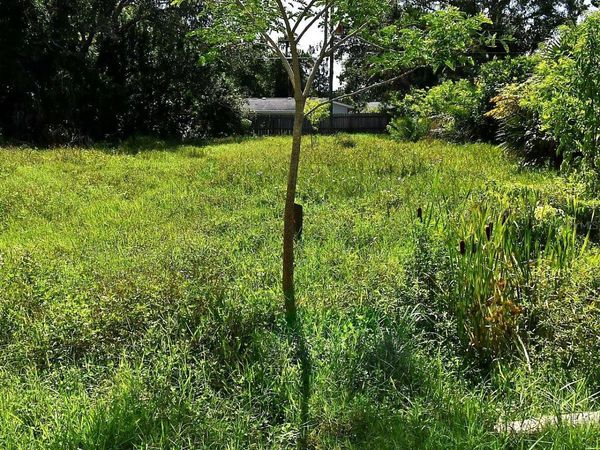 OLIVE AVENUE, NOKOMIS, FL 34275