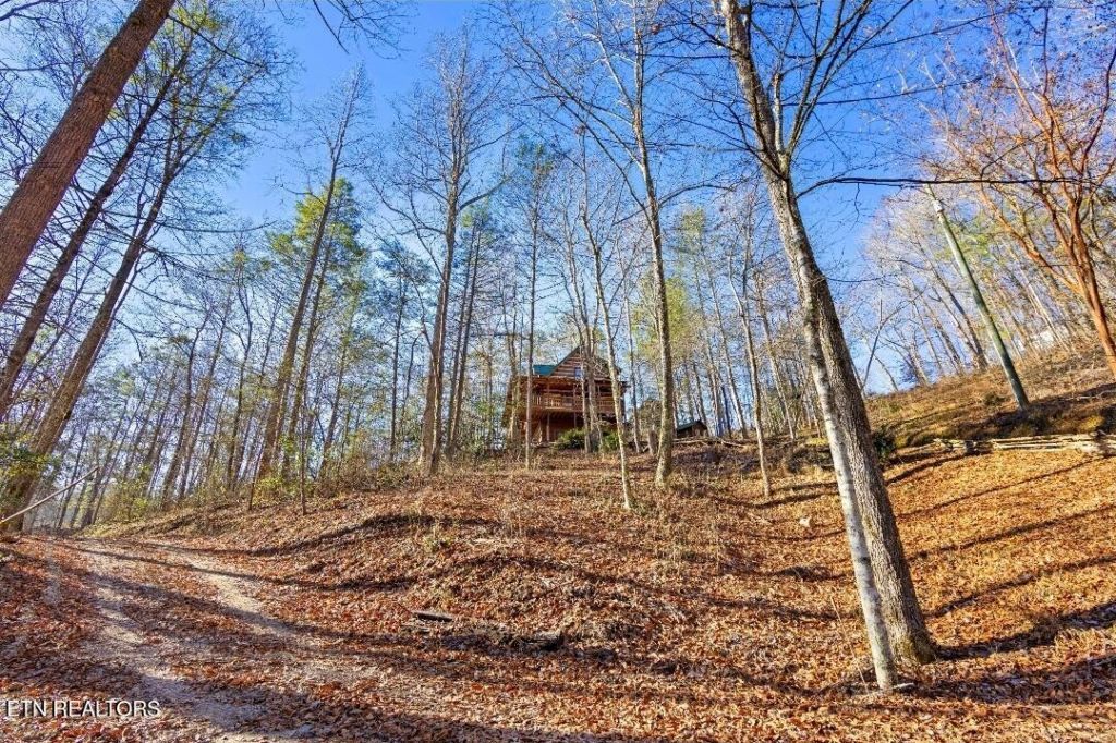 2845 Grassy Branch Rd Sevierville, TN 37876