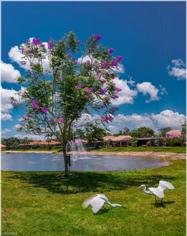 9871 Rookery Cir, Estero, FL 33928 Photo