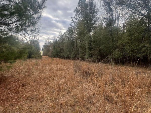 7930 Broken Oak Drive, Sneads, FL 32460