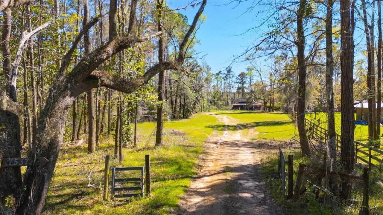 7537 Old St Augustine Road, Tallahassee, FL 32311 Photo