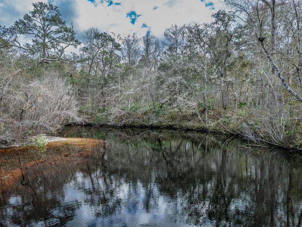 Lot 92 Cheyenne Drive, Sopchoppy, FL 32358