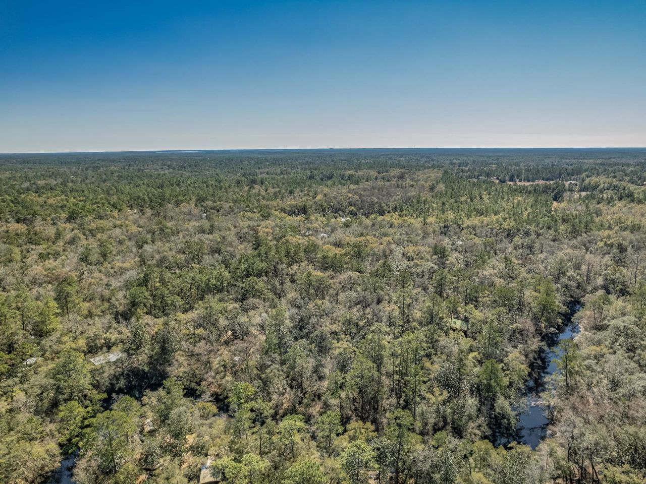 Lot 92 Cheyenne Drive, Sopchoppy, FL 32358 Photo