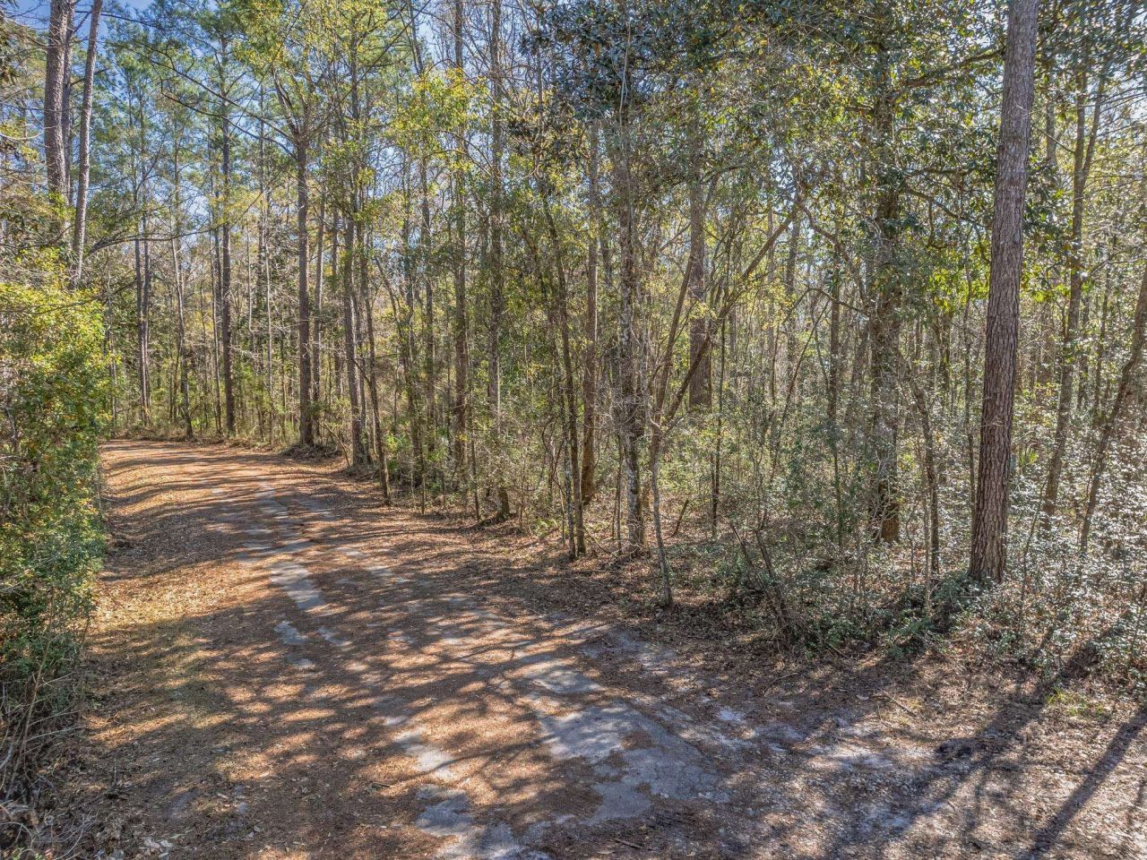 Lot 92 Cheyenne Drive, Sopchoppy, FL 32358 Photo