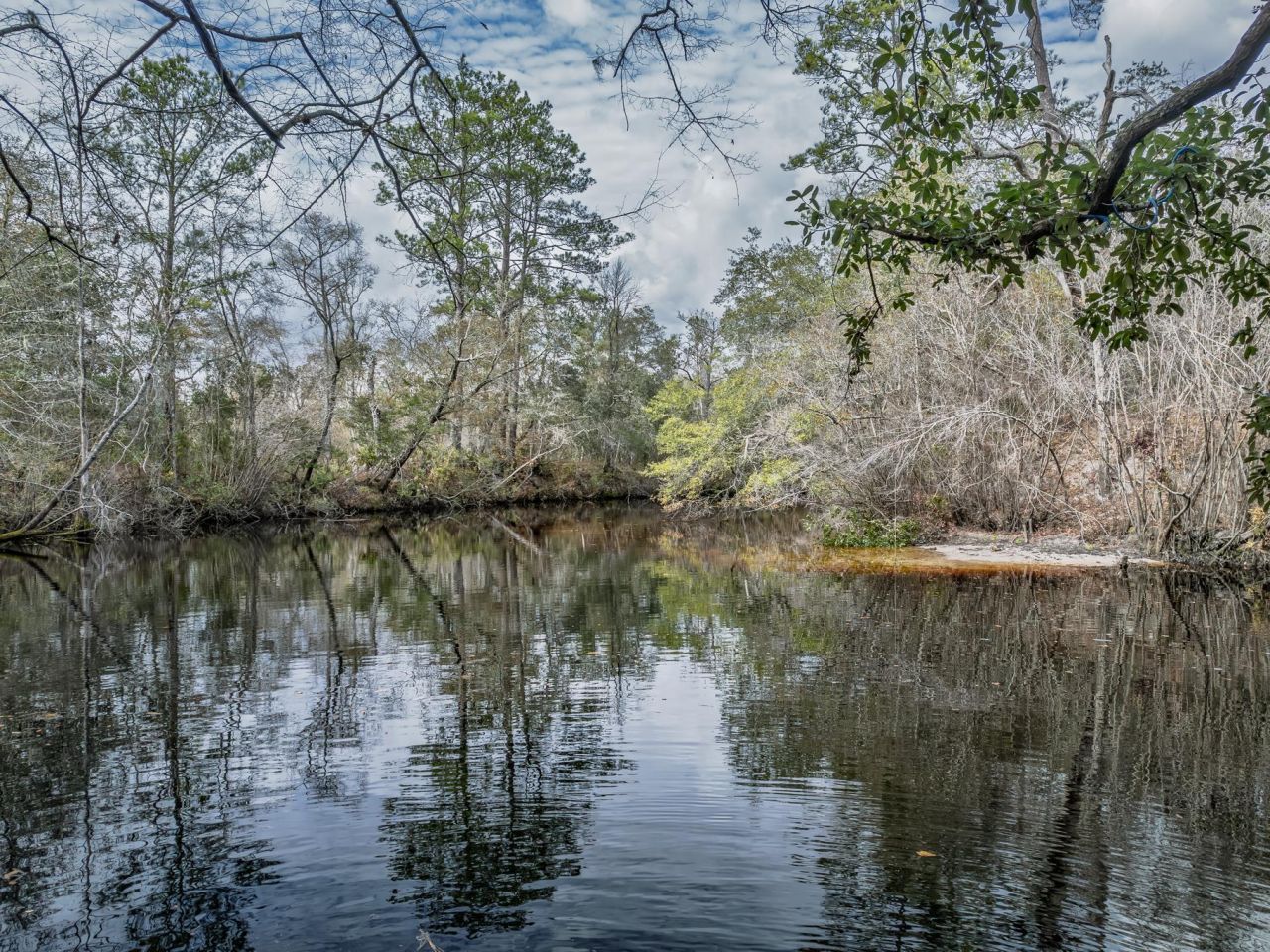 Lot 92 Cheyenne Drive, Sopchoppy, FL 32358 Photo