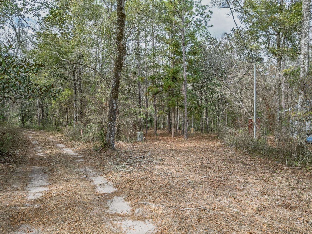 Lot 92 Cheyenne Drive, Sopchoppy, FL 32358 Photo