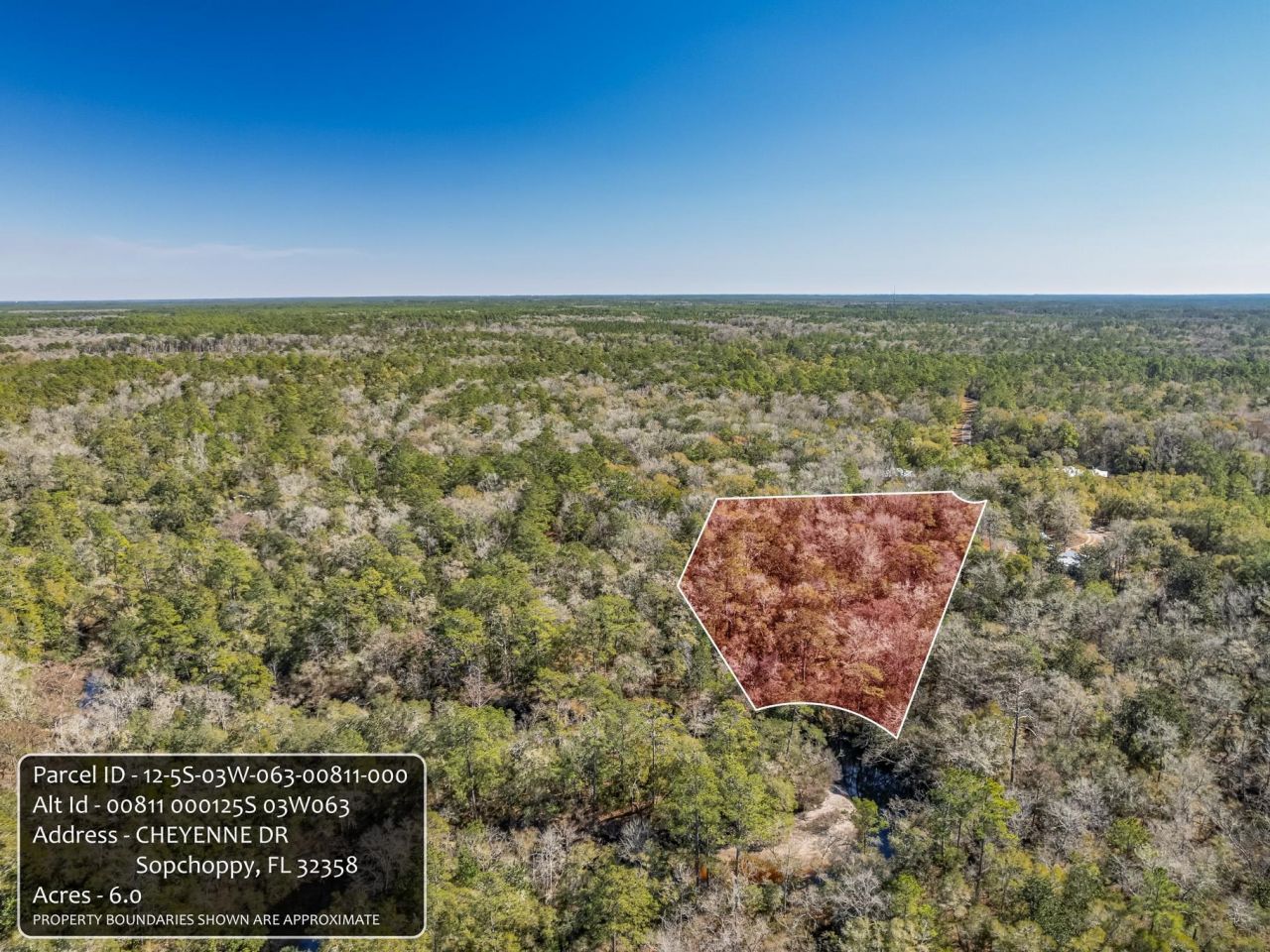 Lot 92 Cheyenne Drive, Sopchoppy, FL 32358 Photo
