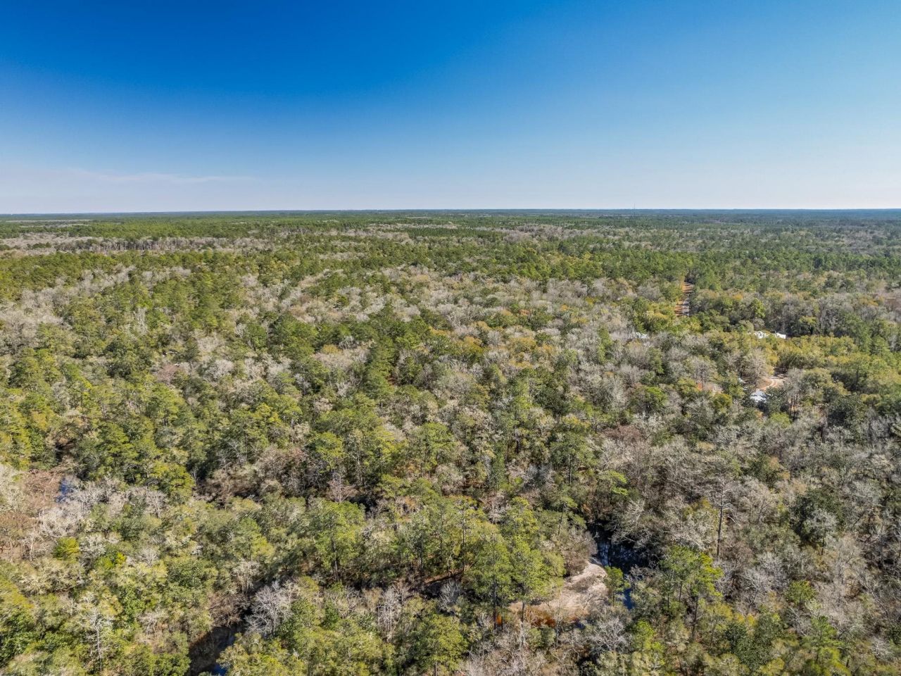 Lot 92 Cheyenne Drive, Sopchoppy, FL 32358 Photo