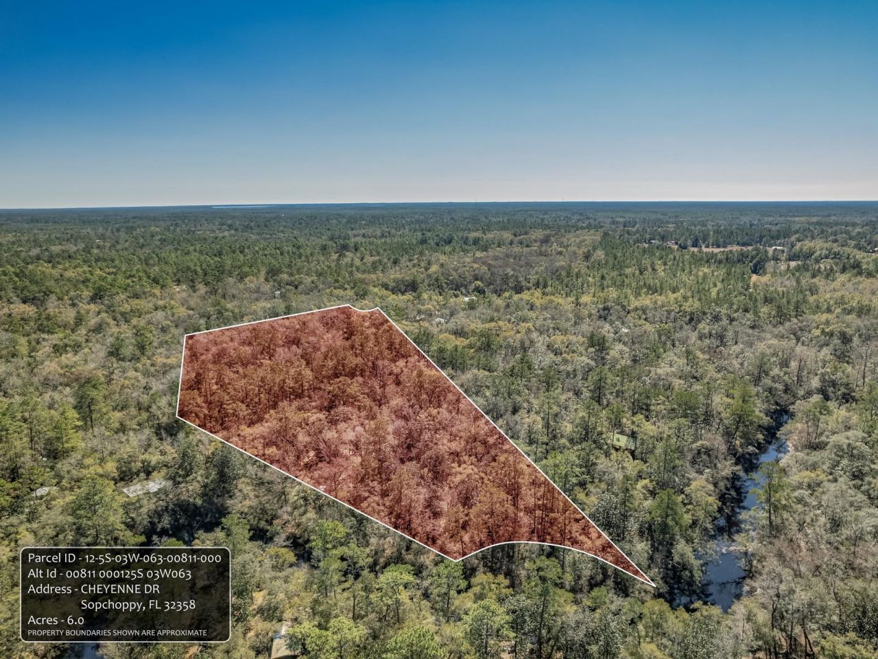 Lot 92 Cheyenne Drive, Sopchoppy, FL 32358 Photo