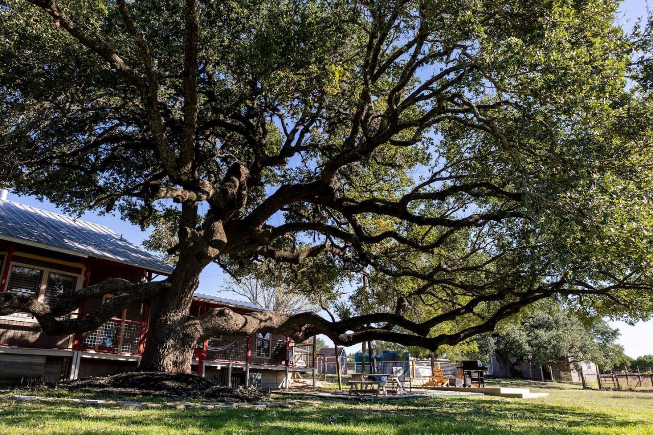 1901 Harmon Hills Rd, Dripping Springs, TX 78620 Main Photo