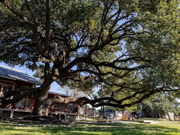 1901 Harmon Hills RD, Dripping Springs, TX 78620