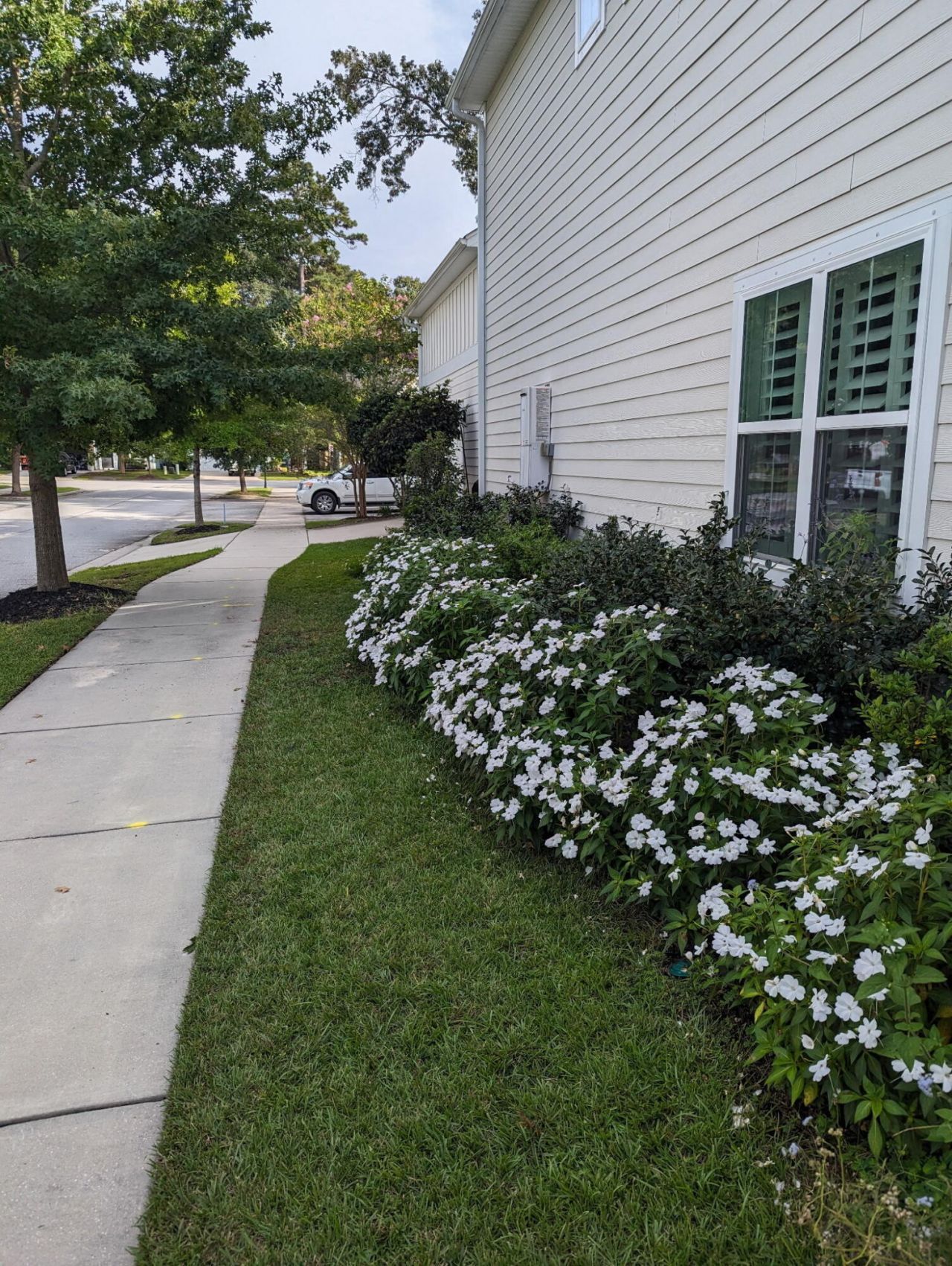 2353 Grandiflora Boulevard Photo 39