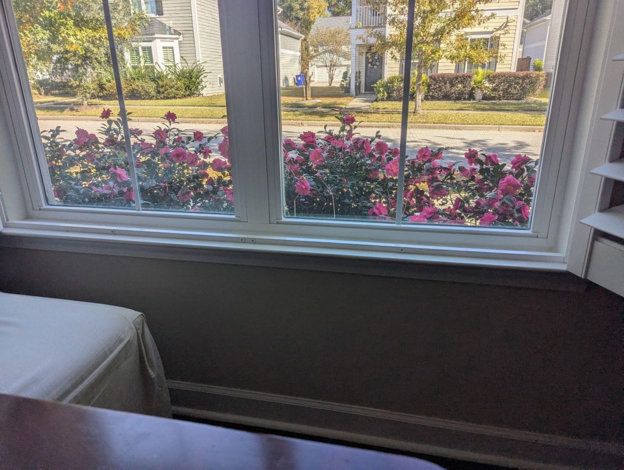 2353 Grandiflora Boulevard Photo 40