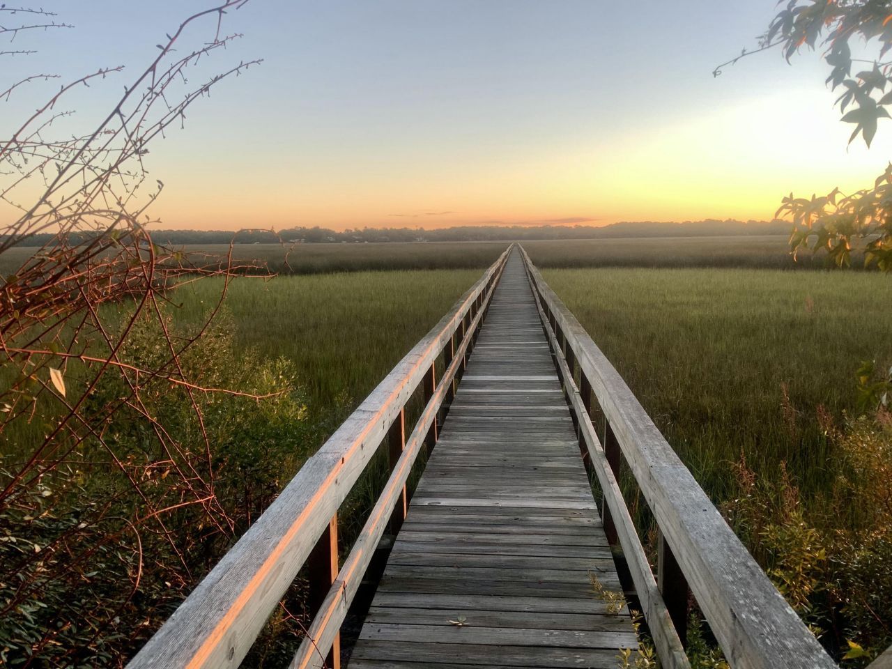 2353 Grandiflora Boulevard Photo 45