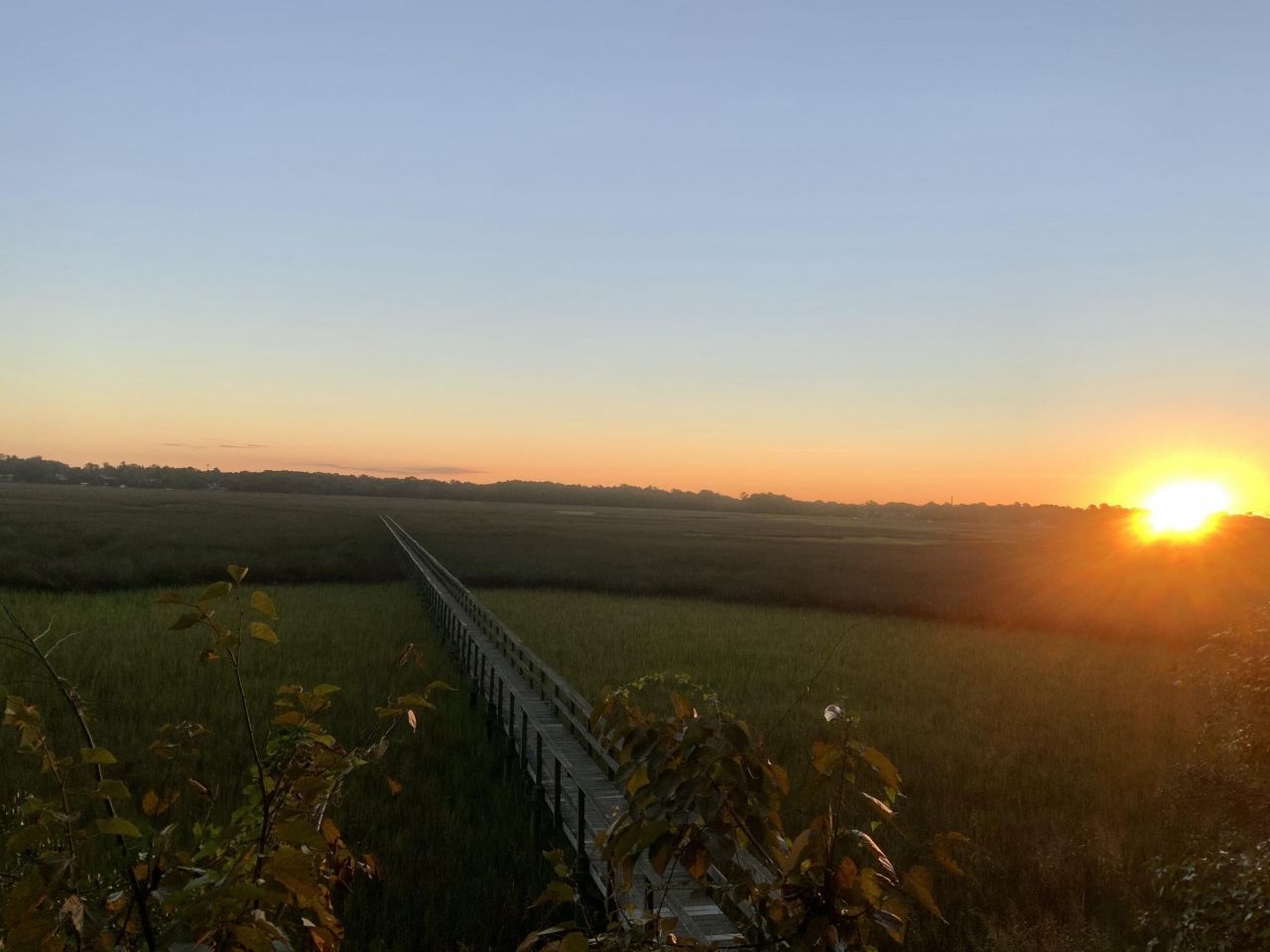 2353 Grandiflora Boulevard Photo 46