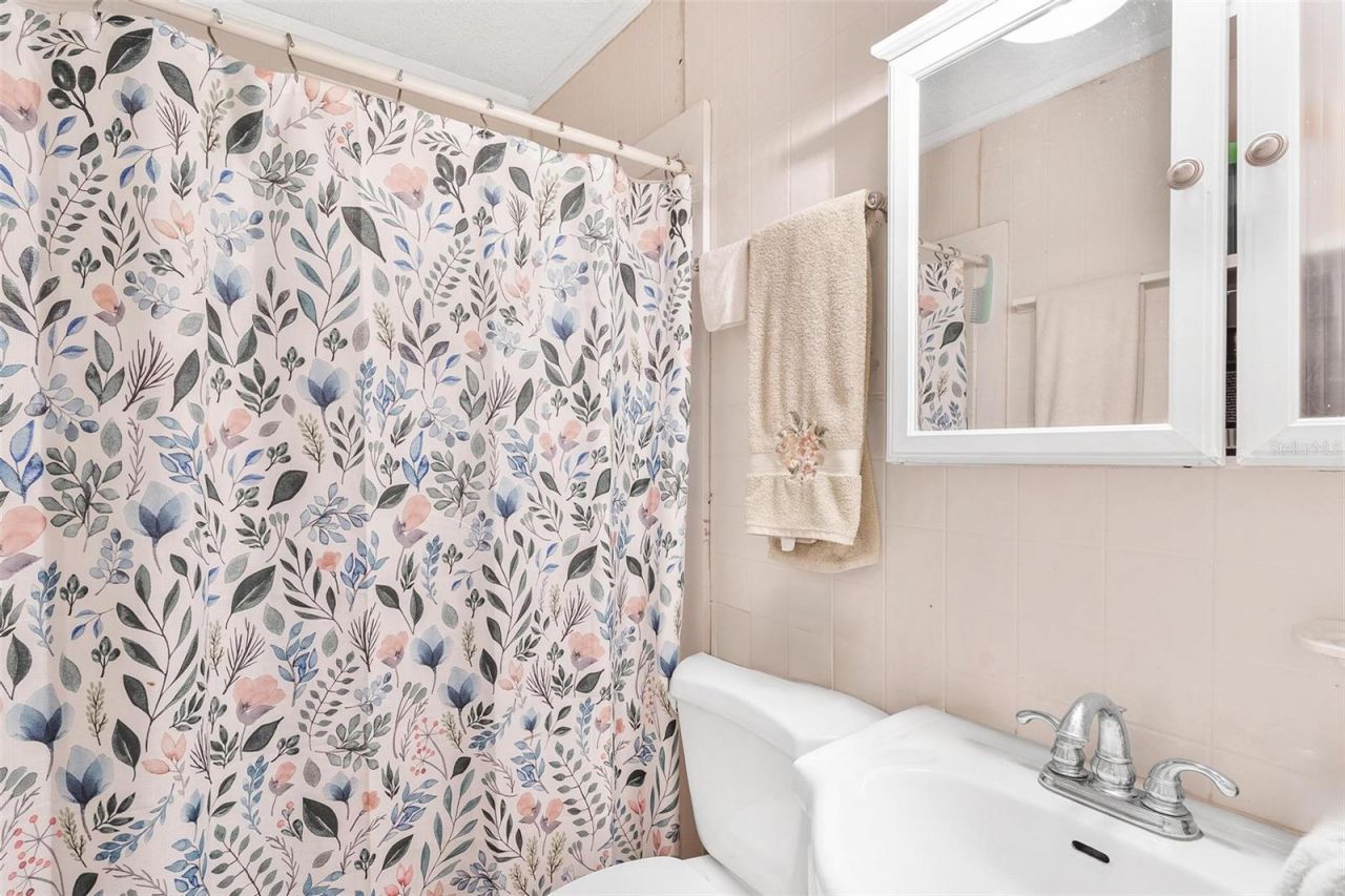 32828 Lake Eustis Drive, Tavares, FL 32778 Photo