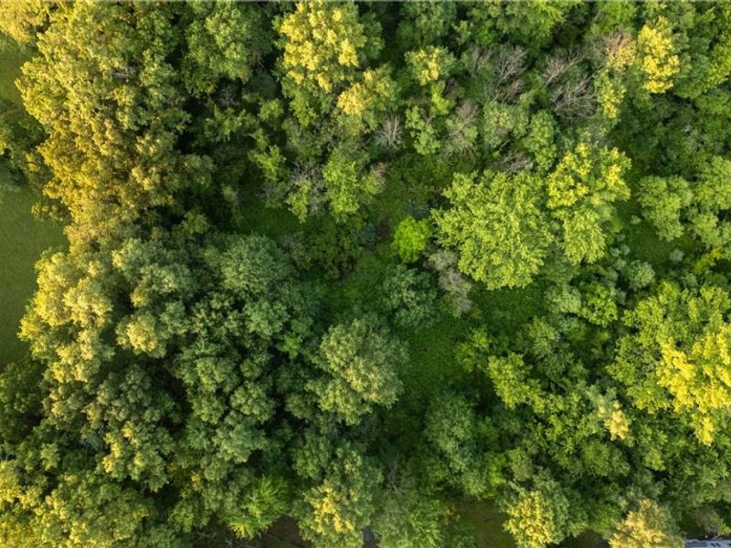 4360 Beal Drive, Kent, OH 44240 Photo 15