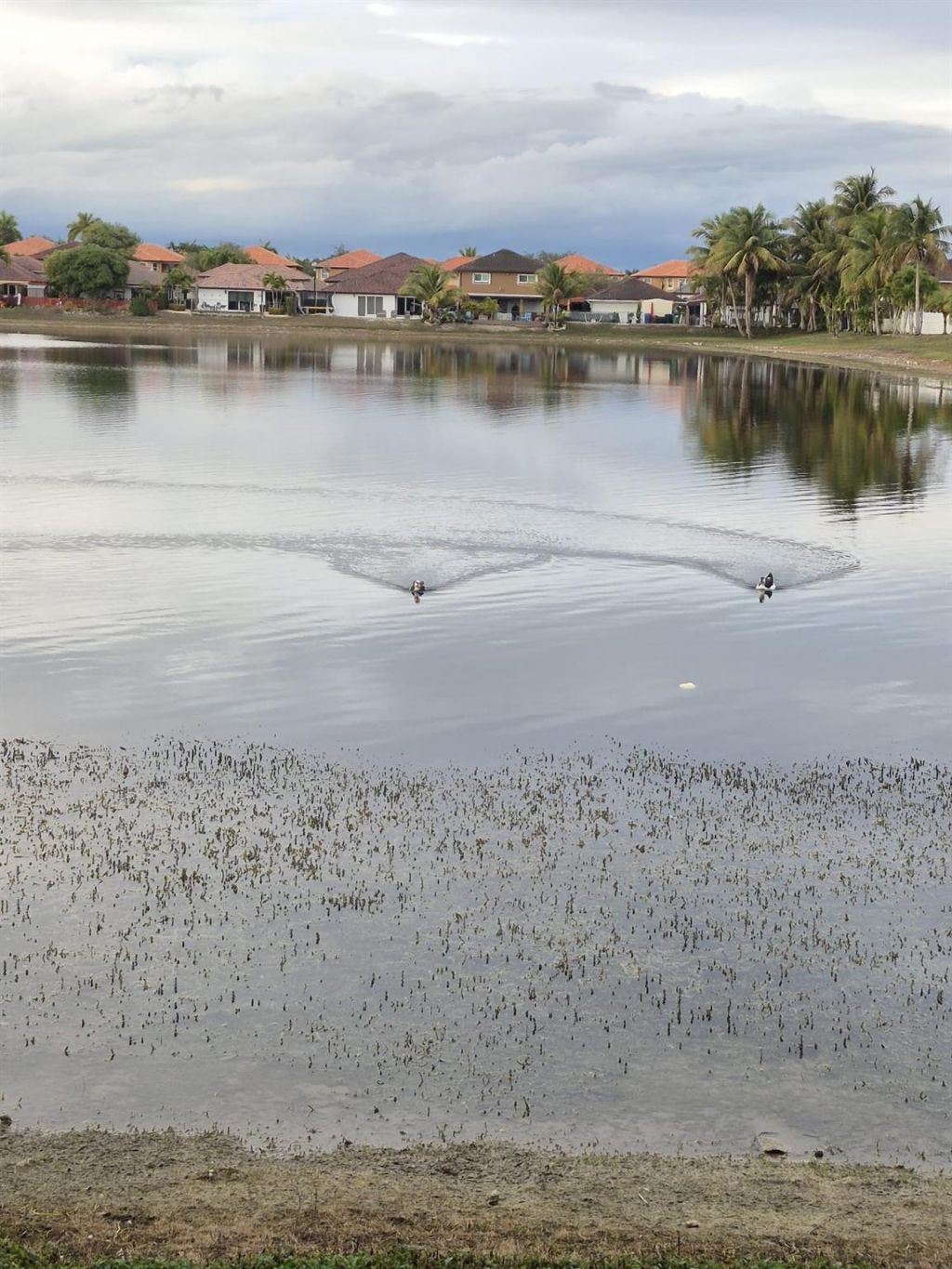 15449 SW 35th Terrace, Miami, FL 33185 Photo