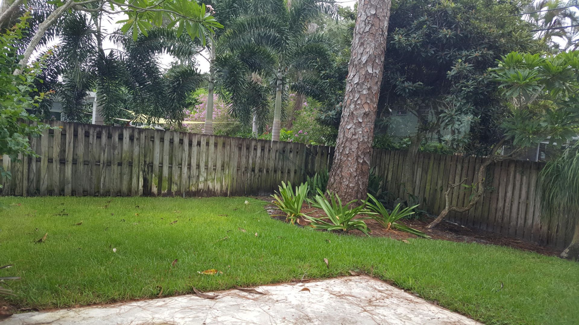 1132 SW 3rd Street, Boca Raton, FL 33486 Photo