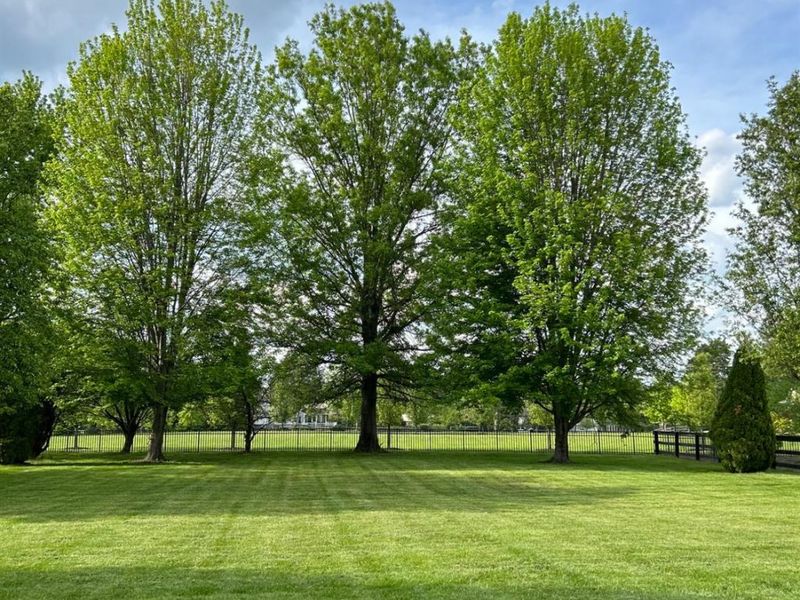 397 Huntington Drive, Loveland, OH 45140 Photo 52