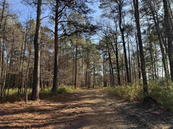 23.30 Acres-TBD Dainty Ave, Kingstree, SC 29556