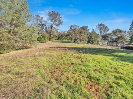 10538 Fleehart St, Amador City, CA 95601 Photo