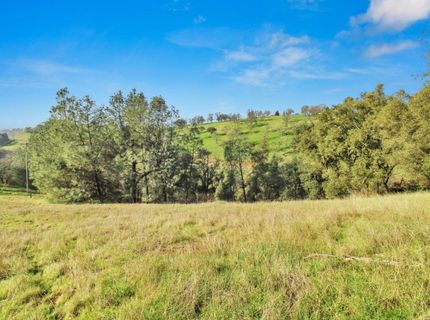 10538 Fleehart St, Amador City, CA 95601 Photo