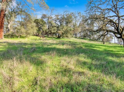 10538 Fleehart St, Amador City, CA 95601 Photo