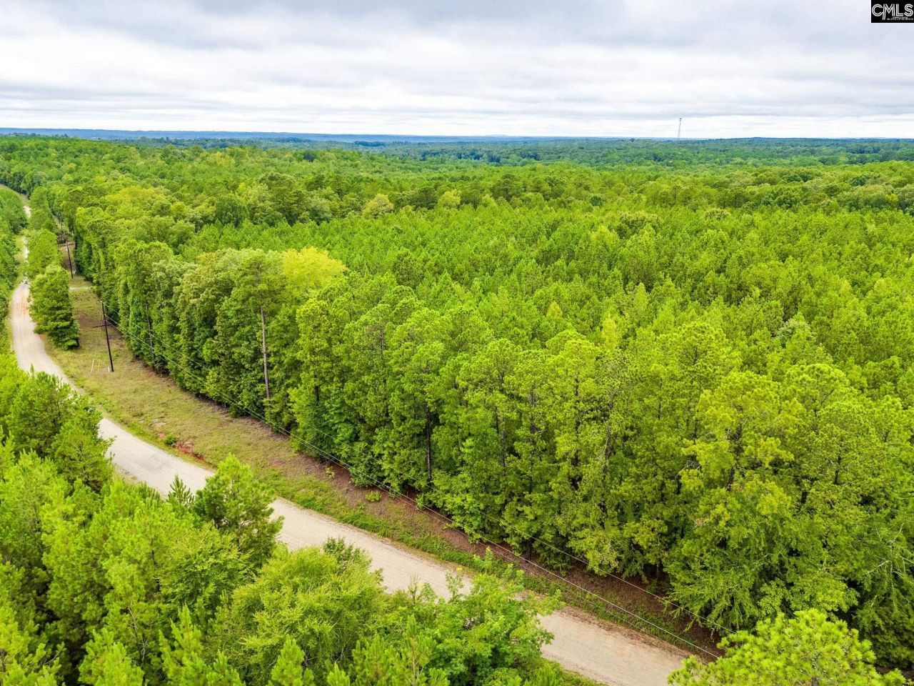 401 Taylor Chapel Road  Photo 10