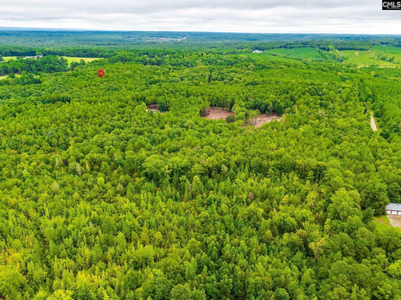 401 Taylor Chapel Road  Photo 4