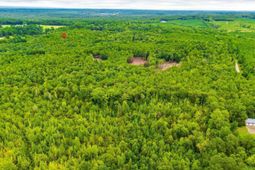 401 Taylor Chapel Road  photo 4