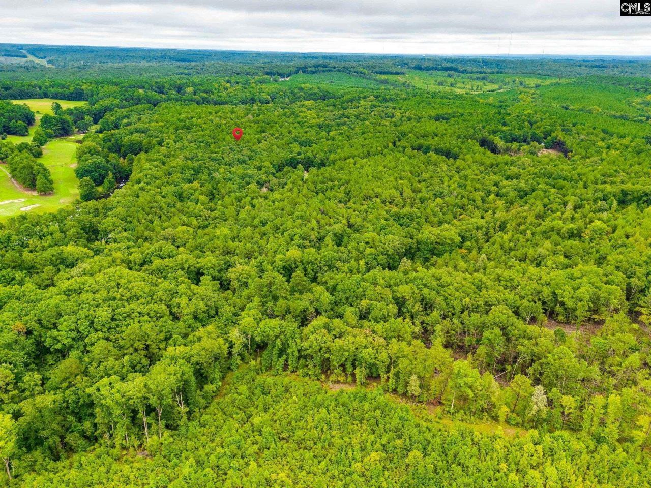 401 Taylor Chapel Road  Photo 5