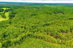 401 Taylor Chapel Road  photo 4