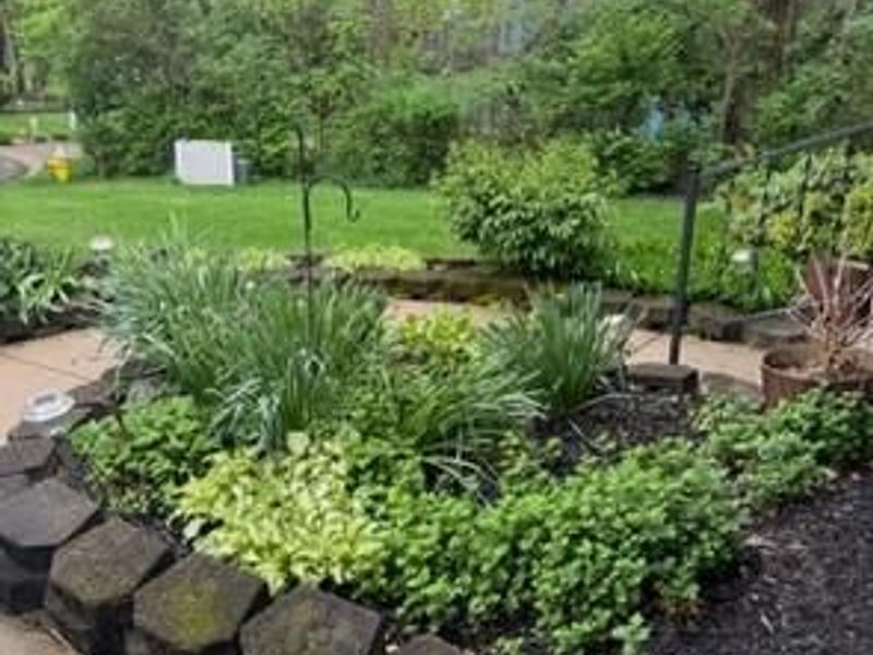 2750 Brantwood Court, Butler Township, OH 45414 Photo 49