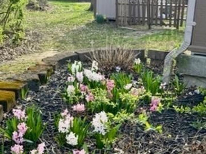 2750 Brantwood Court, Butler Township, OH 45414 Photo 54