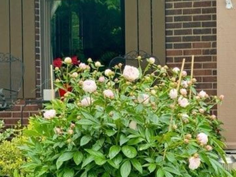 2750 Brantwood Court, Butler Township, OH 45414 Photo 56