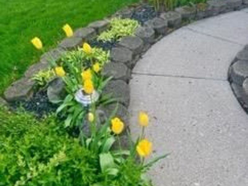 2750 Brantwood Court, Butler Township, OH 45414 Photo 59