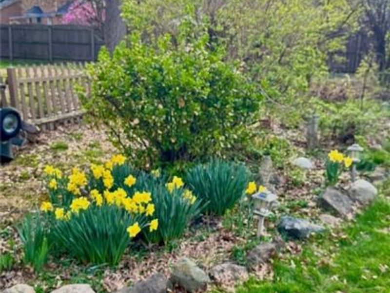 2750 Brantwood Court, Butler Township, OH 45414 Photo 69