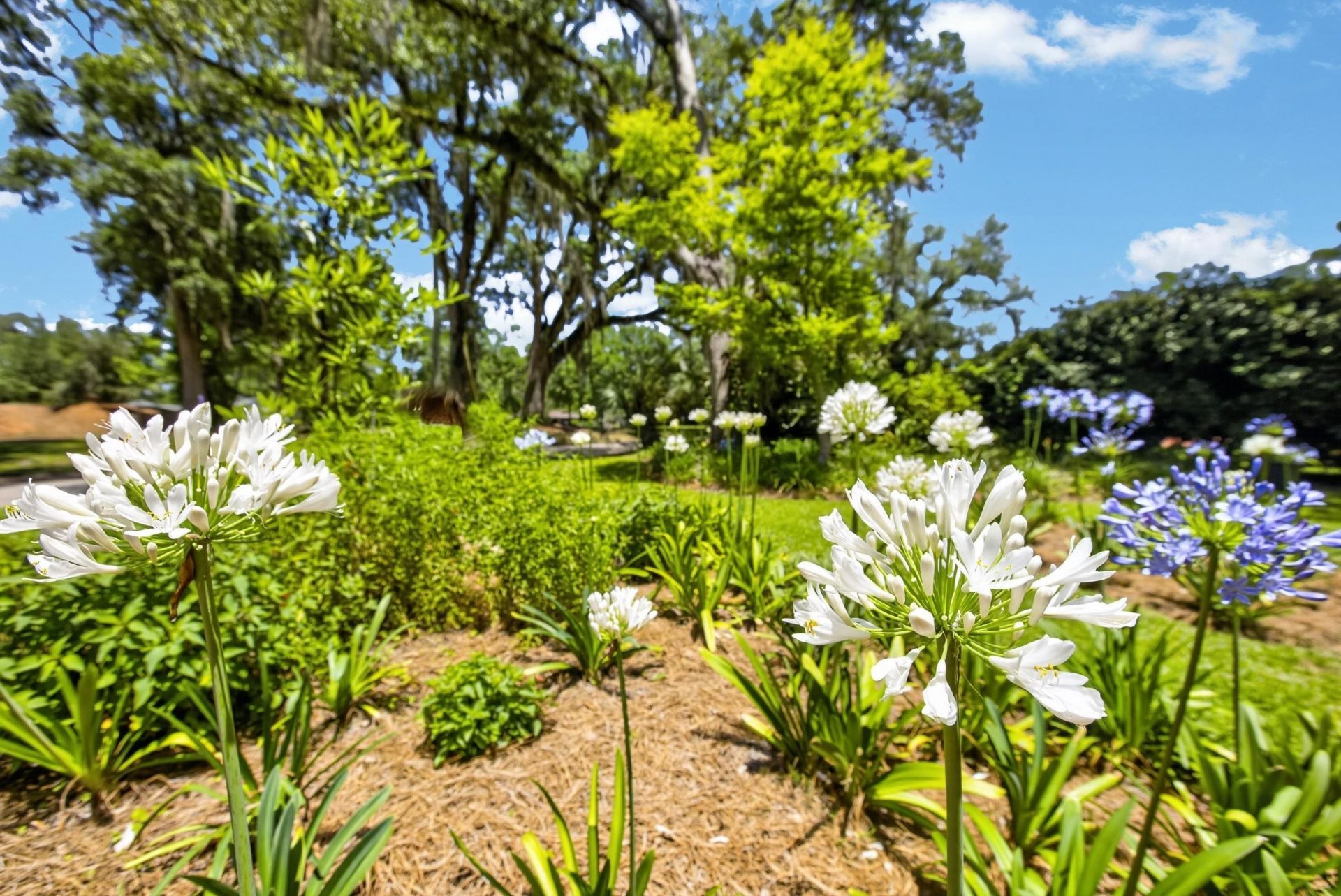 1003 Maple Drive, Tallahassee, FL 32301 Photo