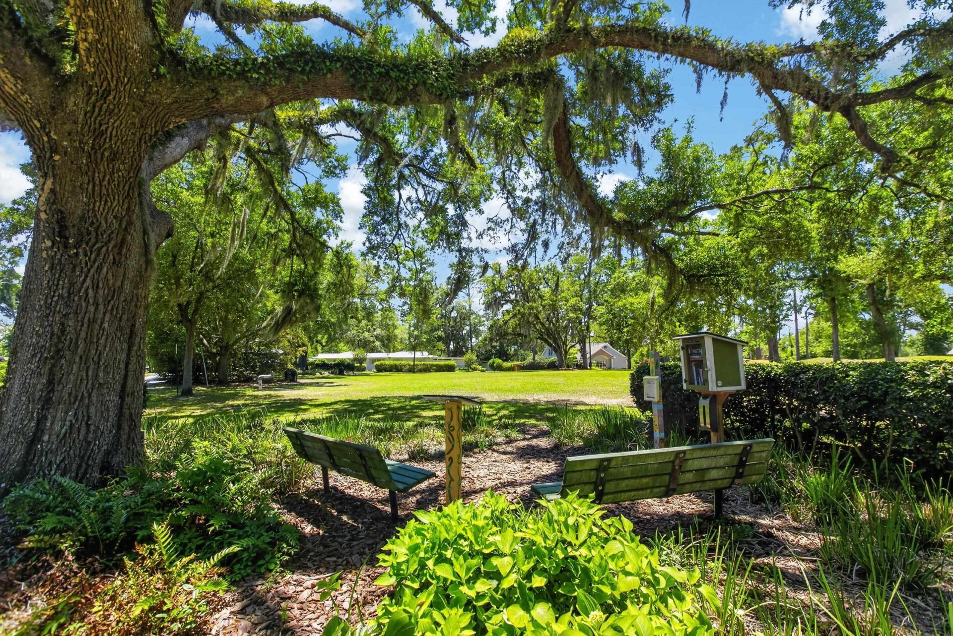 1003 Maple Drive, Tallahassee, FL 32301 Photo